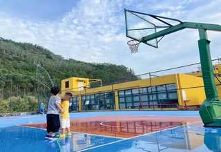 崇明区绿植花卉批发销售